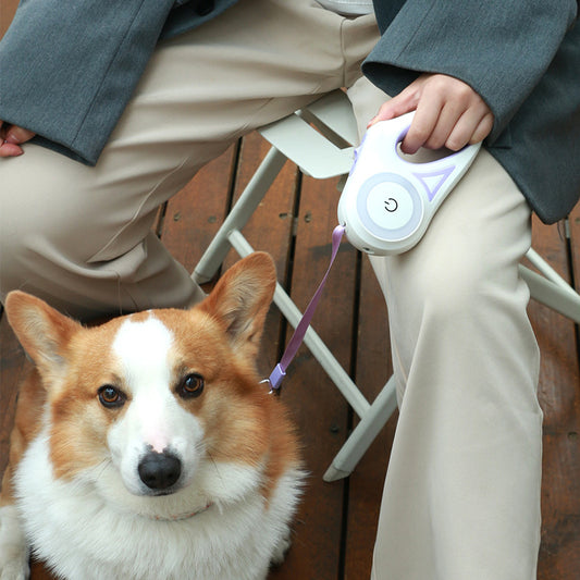 Correa Retráctil Spotlight Pro: Seguridad LED de Largo Alcance para Perros y Gatos